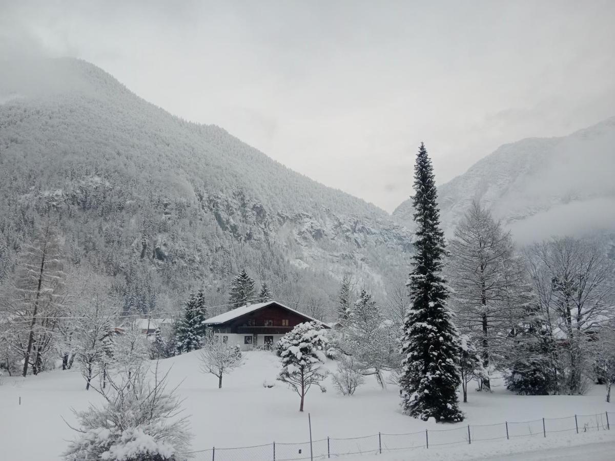Dachstein Apartments Obertraun Esterno foto